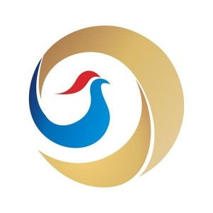 探索廣州久銀互聯網金融信息服務 創新與安全的互聯網信息服務新篇章